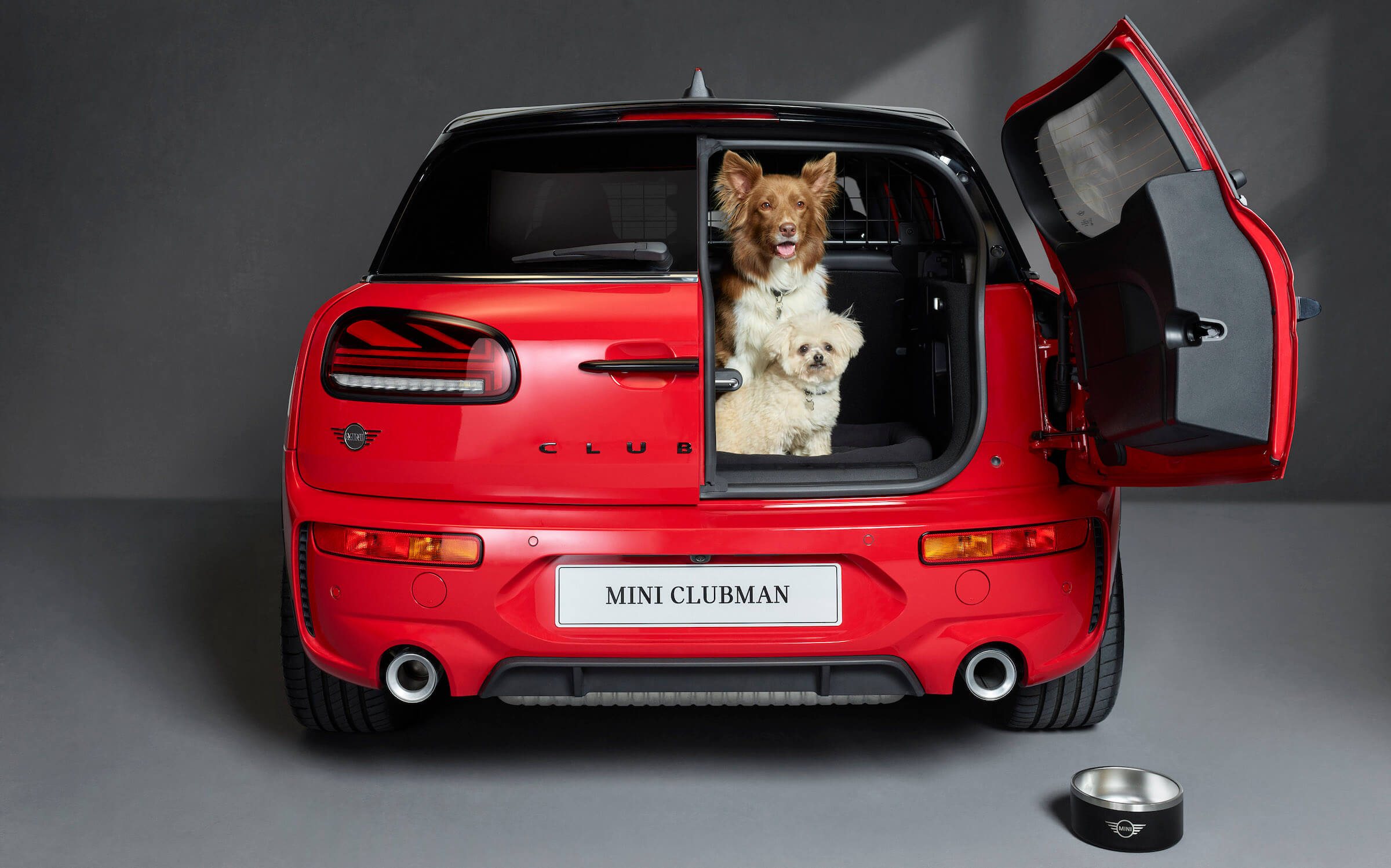 Why MINI Clubman Is The Best Car For Dogs MINI UK