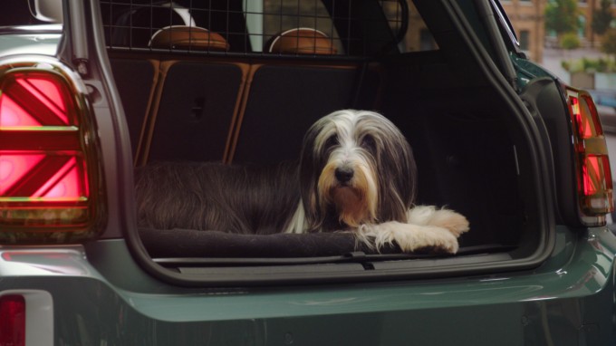 how do you secure a dog in the boot of a car